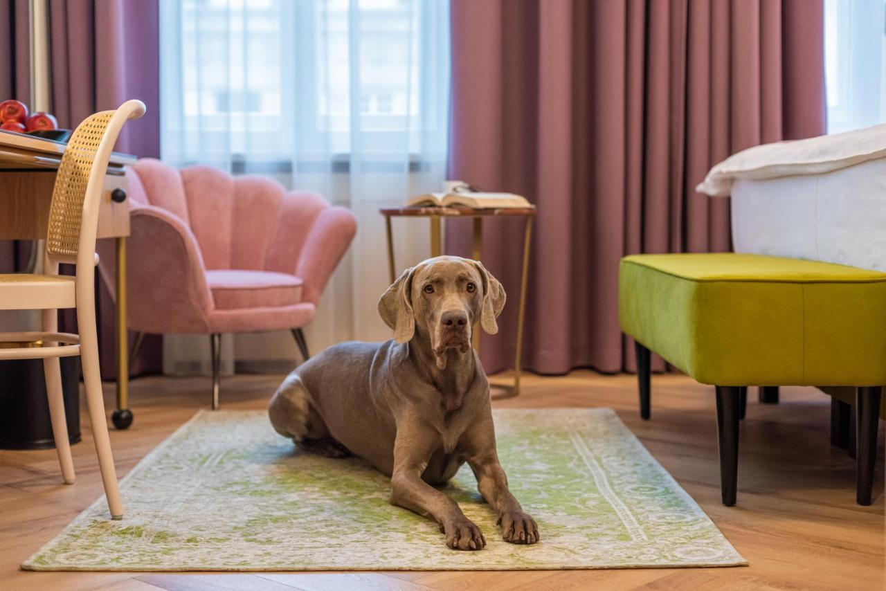 Sleepwell Boutique Apartments Varşova Dış mekan fotoğraf
